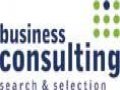 BUSINESS CONSULTING (search & selection) - zdjęcie-11911