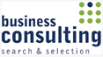 BUSINESS CONSULTING (search & selection)