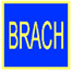 BRACH Biuro Projektów i Obsługi Inwestycji