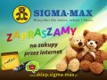 SIGMA MAX Sp. z o.o. - zdjęcie-108979