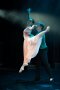 Niepubliczna Szkoła Baletowa - Szkoła Sztuki Tańca w Łodzi - zdjęcie-122982