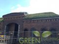 Green Roofing Systems - zdjęcie-129750