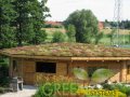 Green Roofing Systems - zdjęcie-129751