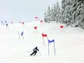 Szkoła Narciarska Ski-ZAWIŚLAŃ-Team - zdjęcie-133131