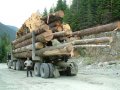 Specjalistyczny transport drewna