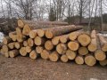 Produkcja drewna