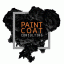 Paint Coat Consulting