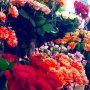 Kwiaciarnia Glorioza & Kwiaciarnia Kwiatowe Klimaty - zdjęcie-46559