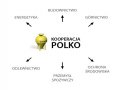 Kooperacja POLKO Sp. z o.o. - zdjęcie-53395