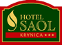 HOTEL SAOL***
