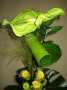 Kwiaciarnia GARDENIA - zdjęcie-64951