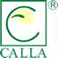 CALLA Group Sp. z o.o. Sp.komandytowa